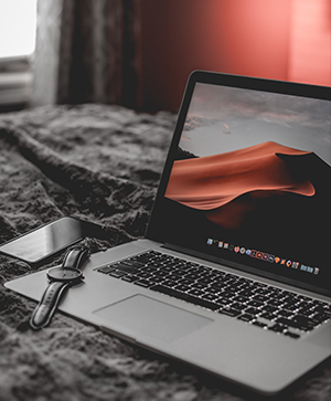 WordPress Empowerment